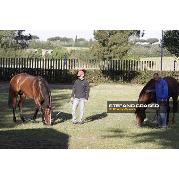 A morning with Gianluca,Gabriele,Luciano Bietolini and Real Solution preparing for the Derby ! Rome - Capannelle training center, 15th may 2012 ph.Stefano Grasso