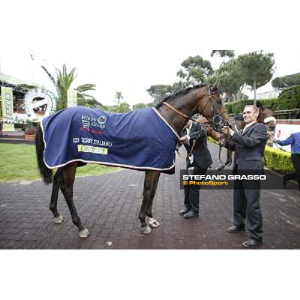 Feuerblitz parades after winning the race 129° Derby Italiano Better Roma - Capannelle racecourse, 20th may 2012 ph.Stefano Grasso