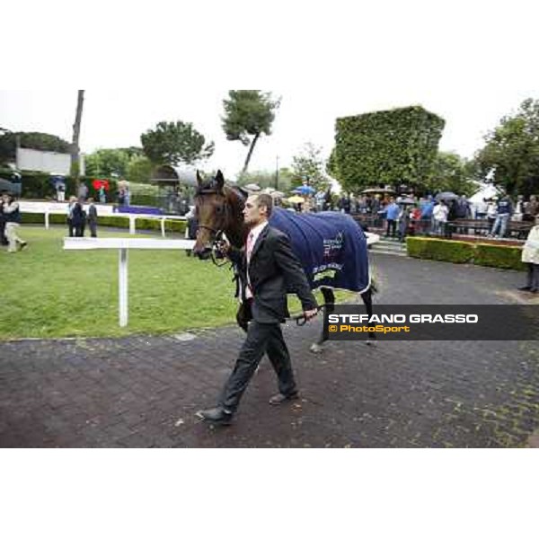 Feuerblitz parades after winning the race 129° Derby Italiano Better Roma - Capannelle racecourse, 20th may 2012 ph.Stefano Grasso