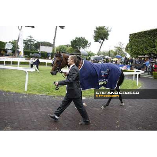 Feuerblitz parades after winning the race 129° Derby Italiano Better Roma - Capannelle racecourse, 20th may 2012 ph.Stefano Grasso