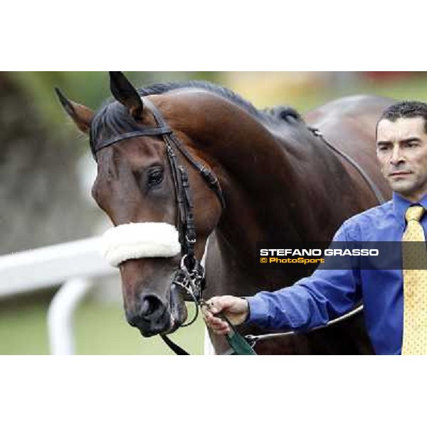 Wild Wolf parades before the race 129° Derby Italiano Better Roma - Capannelle racecourse, 20th may 2012 ph.Stefano Grasso