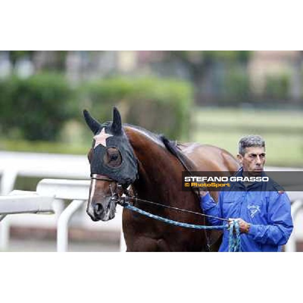 Real Solution parades before the race 129° Derby Italiano Better Roma - Capannelle racecourse, 20th may 2012 ph.Stefano Grasso