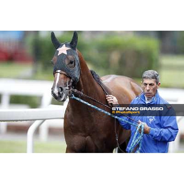 Real Solution parades before the race 129° Derby Italiano Better Roma - Capannelle racecourse, 20th may 2012 ph.Stefano Grasso