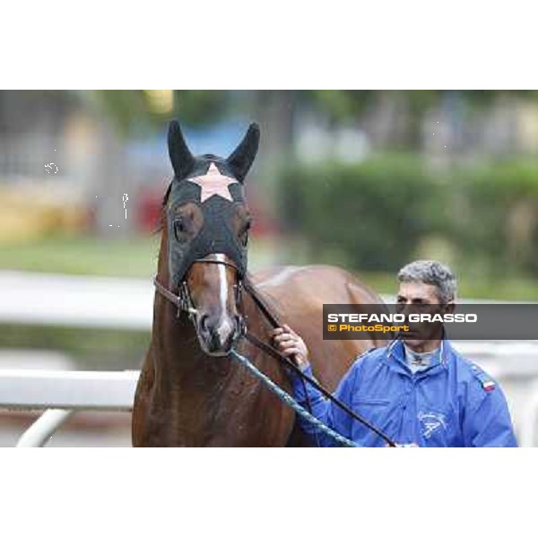 Real Solution parades before the race 129° Derby Italiano Better Roma - Capannelle racecourse, 20th may 2012 ph.Stefano Grasso