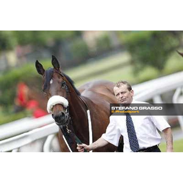 Smoking Joe parades before the race 129° Derby Italiano Better Roma - Capannelle racecourse, 20th may 2012 ph.Stefano Grasso