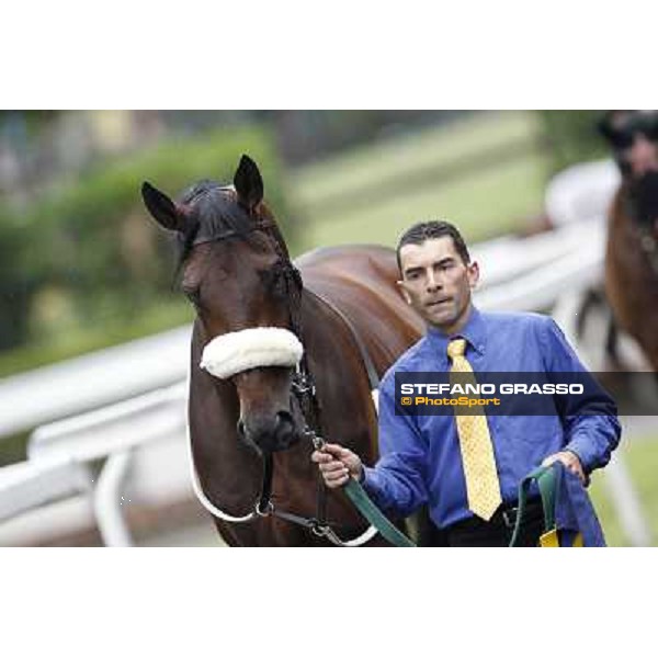 Wild Wolf parades before the race 129° Derby Italiano Better Roma - Capannelle racecourse, 20th may 2012 ph.Stefano Grasso