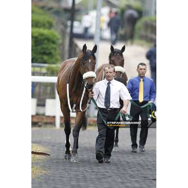 Smoking Joe parades before the race 129° Derby Italiano Better Roma - Capannelle racecourse, 20th may 2012 ph.Stefano Grasso