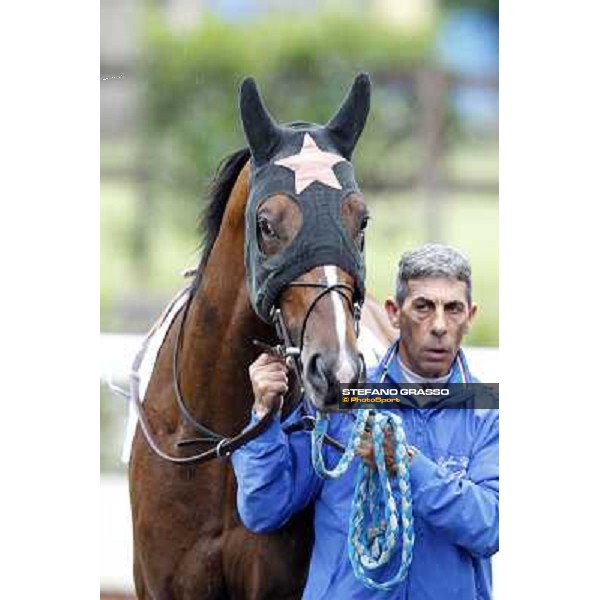 Real Solution parades before the race 129° Derby Italiano Better Roma - Capannelle racecourse, 20th may 2012 ph.Stefano Grasso