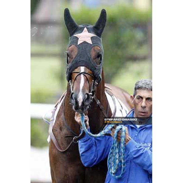 Real Solution parades before the race 129° Derby Italiano Better Roma - Capannelle racecourse, 20th may 2012 ph.Stefano Grasso