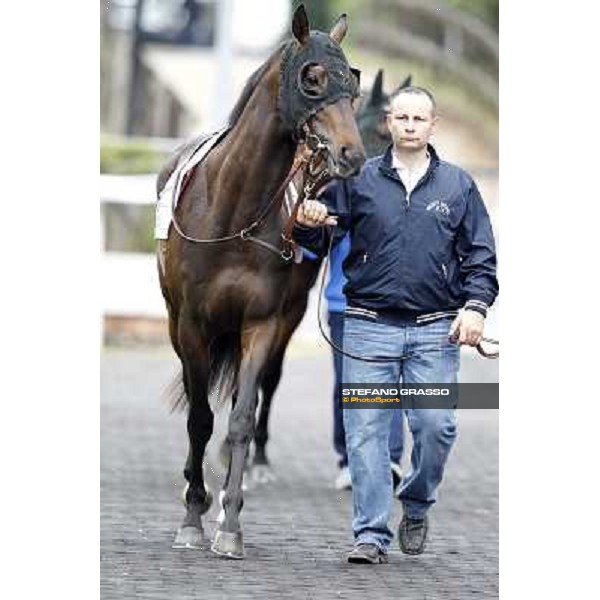 Vola e Va parades before the race 129° Derby Italiano Better Roma - Capannelle racecourse, 20th may 2012 ph.Stefano Grasso