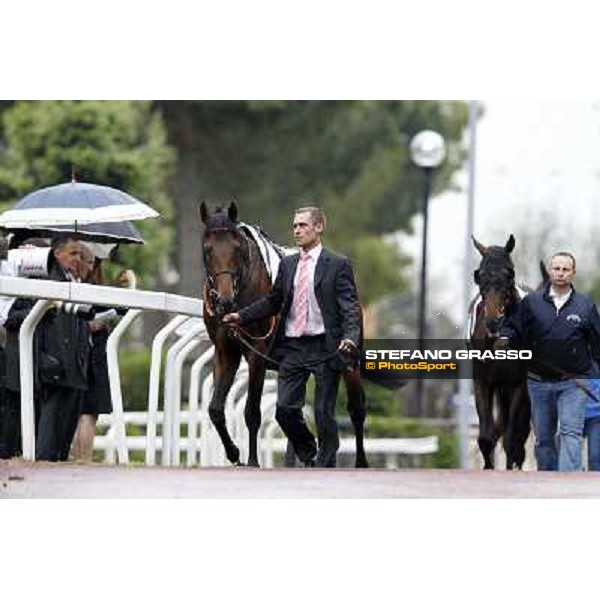 Feuerblitz parades before the race 129° Derby Italiano Better Roma - Capannelle racecourse, 20th may 2012 ph.Stefano Grasso