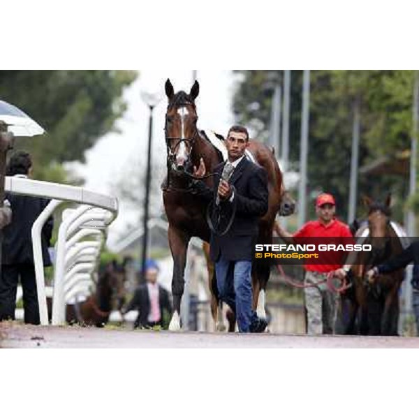 129° Derby Italiano Better Roma - Capannelle racecourse, 20th may 2012 ph.Stefano Grasso