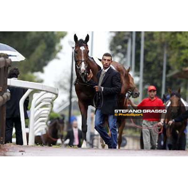 129° Derby Italiano Better Roma - Capannelle racecourse, 20th may 2012 ph.Stefano Grasso