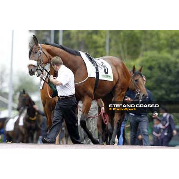 Smoking Joe parades before the race 129° Derby Italiano Better Roma - Capannelle racecourse, 20th may 2012 ph.Stefano Grasso