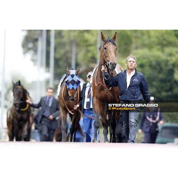 Vola e Va parades before the race 129° Derby Italiano Better Roma - Capannelle racecourse, 20th may 2012 ph.Stefano Grasso