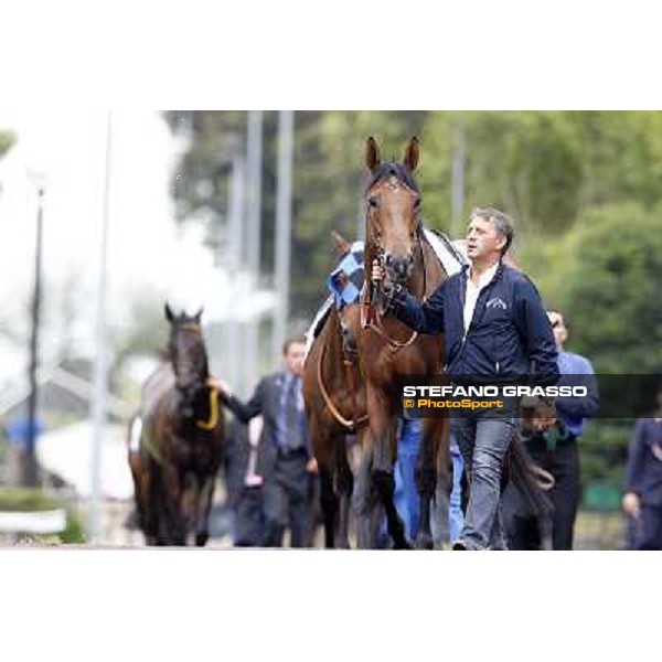 Vola e Va parades before the race 129° Derby Italiano Better Roma - Capannelle racecourse, 20th may 2012 ph.Stefano Grasso