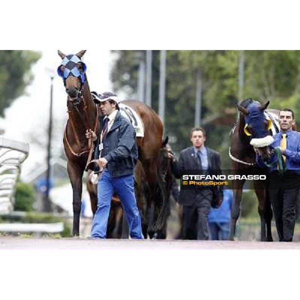 Warder and Wild Wolf parade before the race 129° Derby Italiano Better Roma - Capannelle racecourse, 20th may 2012 ph.Stefano Grasso