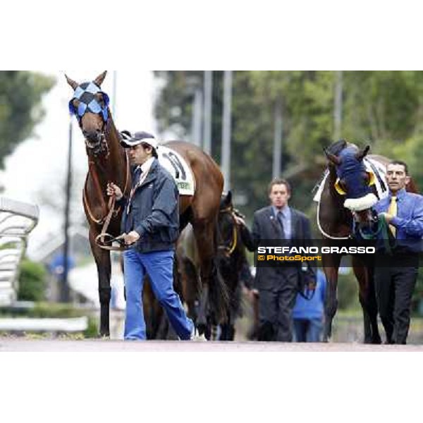 Warder and Wild Wolf parade before the race 129° Derby Italiano Better Roma - Capannelle racecourse, 20th may 2012 ph.Stefano Grasso