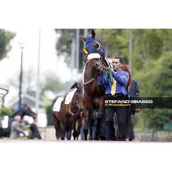 Wild Wolf parades before the race 129° Derby Italiano Better Roma - Capannelle racecourse, 20th may 2012 ph.Stefano Grasso