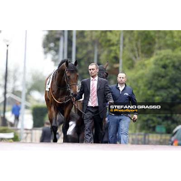 Feuerblitz parades before the race 129° Derby Italiano Better Roma - Capannelle racecourse, 20th may 2012 ph.Stefano Grasso