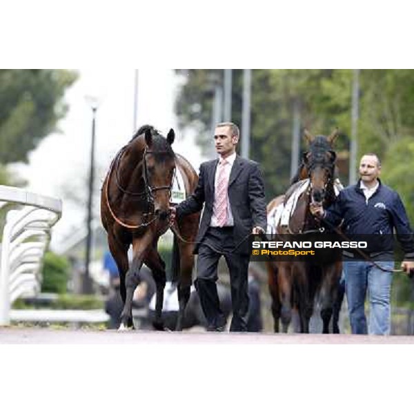 Feuerblitz parades before the race 129° Derby Italiano Better Roma - Capannelle racecourse, 20th may 2012 ph.Stefano Grasso