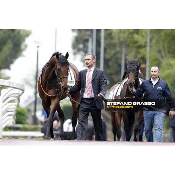 Feuerblitz parades before the race 129° Derby Italiano Better Roma - Capannelle racecourse, 20th may 2012 ph.Stefano Grasso