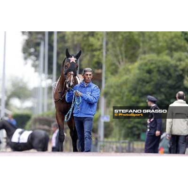 Real Solution parades before the race 129° Derby Italiano Better Roma - Capannelle racecourse, 20th may 2012 ph.Stefano Grasso