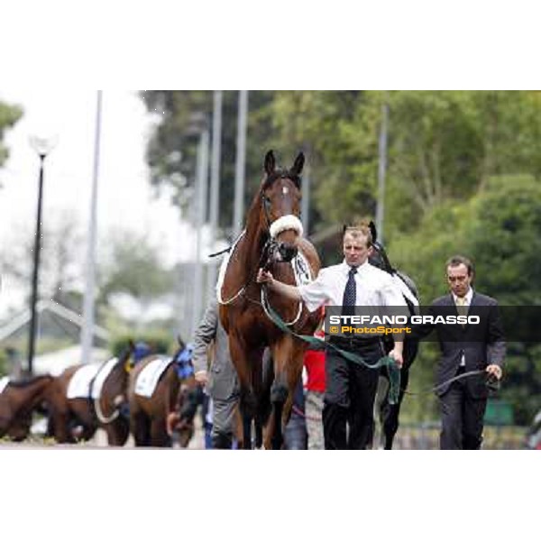 Smoking Joe parades before the race 129° Derby Italiano Better Roma - Capannelle racecourse, 20th may 2012 ph.Stefano Grasso