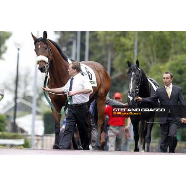 Smoking Joe parades before the race 129° Derby Italiano Better Roma - Capannelle racecourse, 20th may 2012 ph.Stefano Grasso