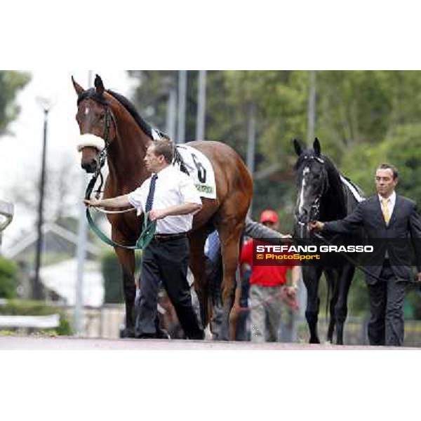 Smoking Joe parades before the race 129° Derby Italiano Better Roma - Capannelle racecourse, 20th may 2012 ph.Stefano Grasso