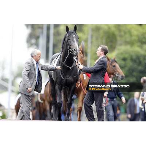 Sopran Montieri parades before the race 129° Derby Italiano Better Roma - Capannelle racecourse, 20th may 2012 ph.Stefano Grasso