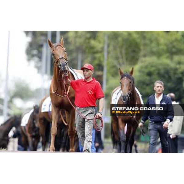 Teixidor parades before the race 129° Derby Italiano Better Roma - Capannelle racecourse, 20th may 2012 ph.Stefano Grasso