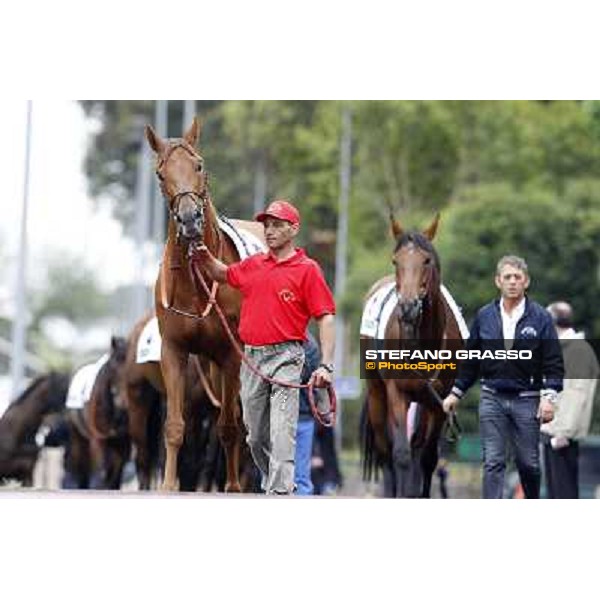 Teixidor parades before the race 129° Derby Italiano Better Roma - Capannelle racecourse, 20th may 2012 ph.Stefano Grasso