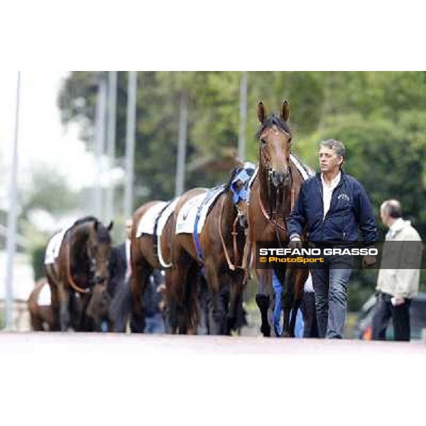 Vola e Va parades before the race 129° Derby Italiano Better Roma - Capannelle racecourse, 20th may 2012 ph.Stefano Grasso