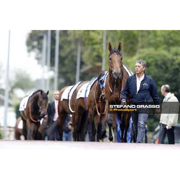 Vola e Va parades before the race 129° Derby Italiano Better Roma - Capannelle racecourse, 20th may 2012 ph.Stefano Grasso