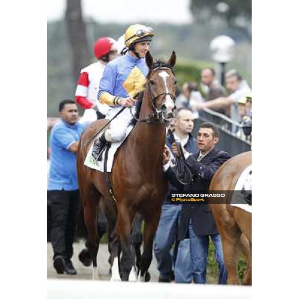 Il Romito enters the track 129° Derby Italiano Better Roma - Capannelle racecourse, 20th may 2012 ph.Stefano Grasso