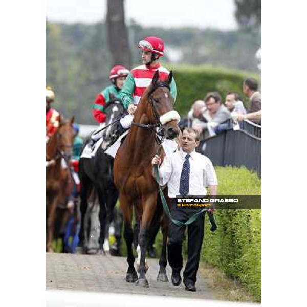 Fabio Branca on Smoking Joe enters the track 129° Derby Italiano Better Roma - Capannelle racecourse, 20th may 2012 ph.Stefano Grasso