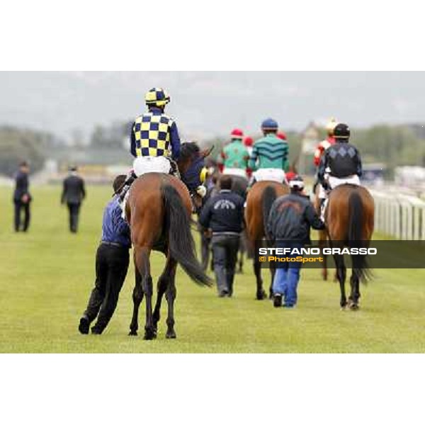 Umberto Rispoli on Wild Wolf parades before the race 129° Derby Italiano Better Roma - Capannelle racecourse, 20th may 2012 ph.Stefano Grasso