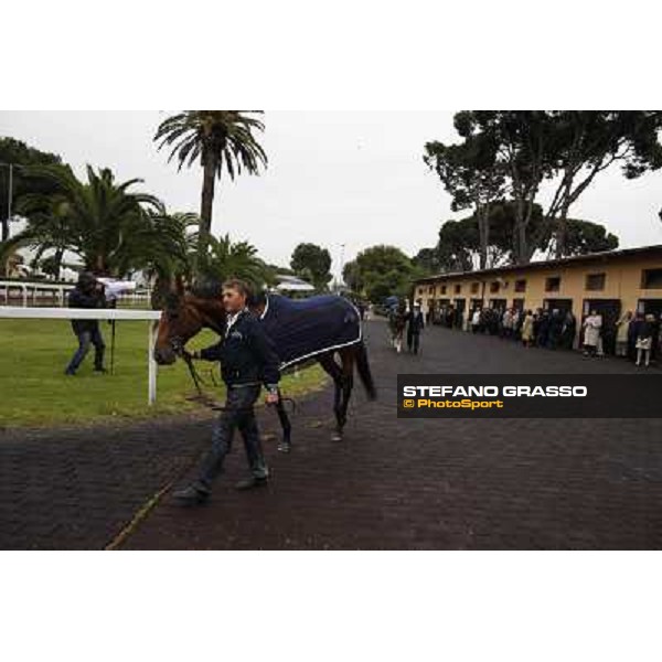 Vola e Va parades before the race 129° Derby Italiano Better Roma - Capannelle racecourse, 20th may 2012 ph.Stefano Grasso