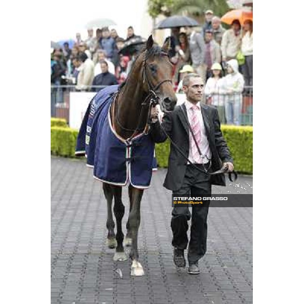 Feuerblitz after winning the 129° Derby Italiano Better Roma - Capannelle racecourse, 20th may 2012 ph.Stefano Grasso