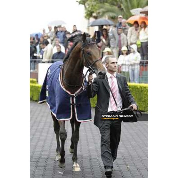 Feuerblitz after winning the 129° Derby Italiano Better Roma - Capannelle racecourse, 20th may 2012 ph.Stefano Grasso