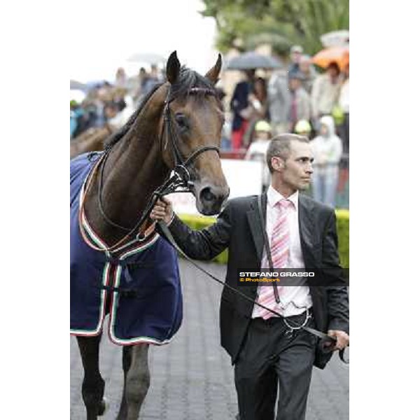 Feuerblitz after winning the 129° Derby Italiano Better Roma - Capannelle racecourse, 20th may 2012 ph.Stefano Grasso