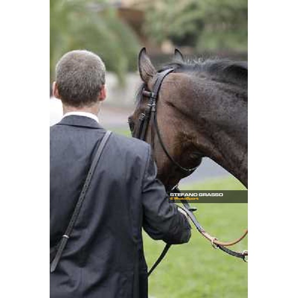 Feuerblitz after winning the 129° Derby Italiano Better Roma - Capannelle racecourse, 20th may 2012 ph.Stefano Grasso