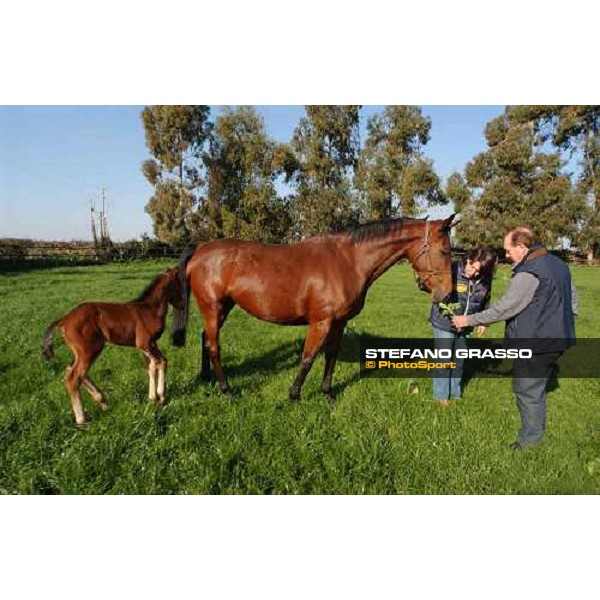 trainer Giuliano Fratini with a foal and mare in the paddocks of Ri-ma Stud Cisterna di Latina, 16th january 2005 ph. Stefano Grasso