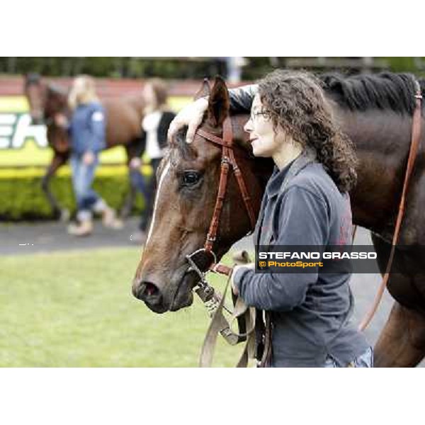 United Color returns home with his groom after winning the Premio Tudini Roma - Capannelle racecourse, 20th may 2012 ph.Stefano Grasso