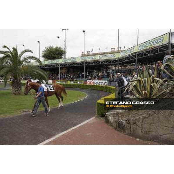 The Parade Ring Roma - Capannelle racecourse, 20th may 2012 ph.Stefano Grasso