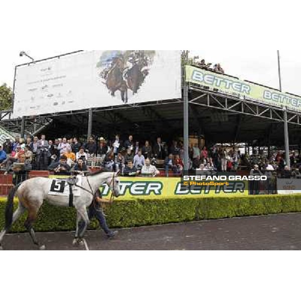 The Parade Ring Roma - Capannelle racecourse, 20th may 2012 ph.Stefano Grasso