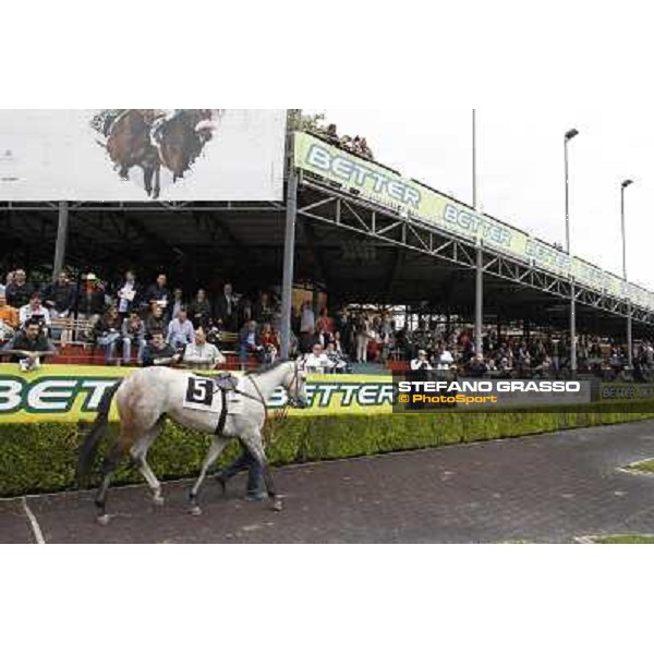 The Parade Ring Roma - Capannelle racecourse, 20th may 2012 ph.Stefano Grasso