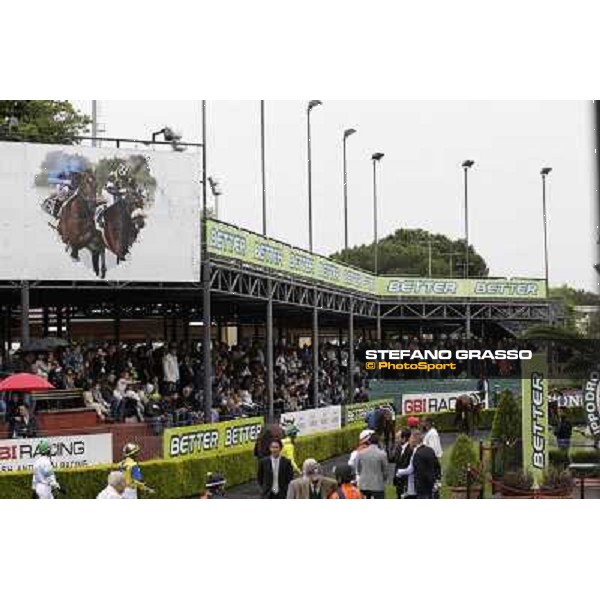 The Parade Ring Roma - Capannelle racecourse, 20th may 2012 ph.Stefano Grasso