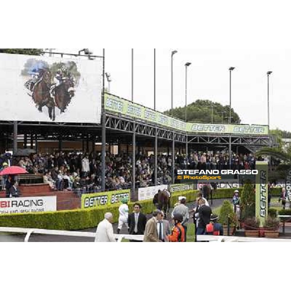 The Parade Ring Roma - Capannelle racecourse, 20th may 2012 ph.Stefano Grasso